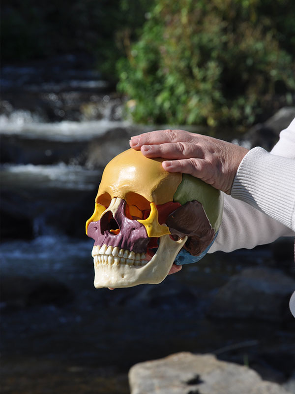 Cranio Schädel in Händen gehalten am Fluss